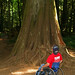 Forest Mcmillan Photo 13
