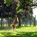 Robert Reach Photo 23