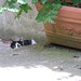 Geraldine Peek Photo 12