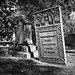Elizabeth Cornelius Photo 28