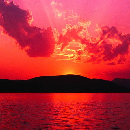 Connie Sparks Photo 12