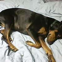 Bonnie Mortenson Photo 1