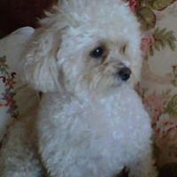 Daisy Meyer Photo 4