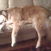Jill Morton Photo 34