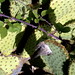 Dulce Encinas Photo 27