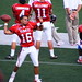 Gerald Willis Photo 39