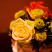 Dawn Todd Photo 42