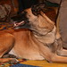 Perry Orr Photo 27