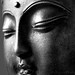 A Face Photo 11