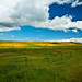 Annette Gillis Photo 25