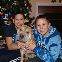 Nancy Bengtson Photo 4
