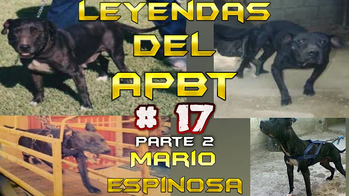 Mario Espinosa Photo 29