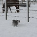 Fred Cutter Photo 22