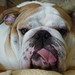 Jack Conner Photo 36