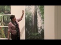 Catherine Rogers Photo 25