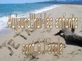 Edward Chretien Photo 10