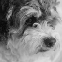 Sammy Sharp Photo 1