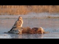 Fred Louw Photo 6