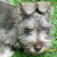 Jasper Bailey Photo 2