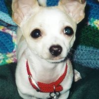 Grady Mcguire Photo 1