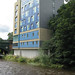 Kelvin Lane Photo 21
