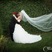 Beverly Sullivan Photo 38
