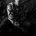 Caleb East Photo 23