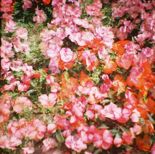 Kathy Marsh Photo 15