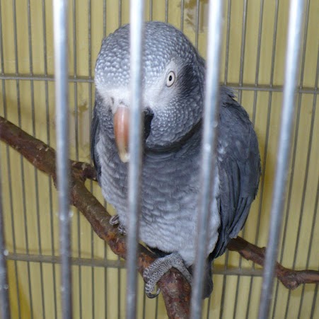 Alice Peck Photo 16