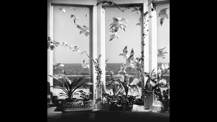 Andrew Stott Photo 33