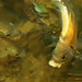 James Freshwater Photo 25