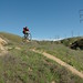 Kyle Crook Photo 41