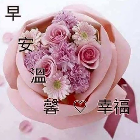George Sun Photo 16