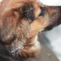 Sheryl Carpenter Photo 20