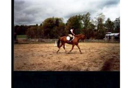 Kendra Olson Photo 14