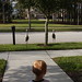 Sally Crane Photo 35