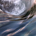 Myra Waters Photo 16