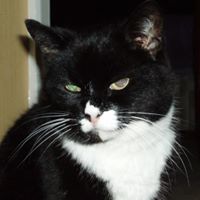 Eileen Burgess Photo 7