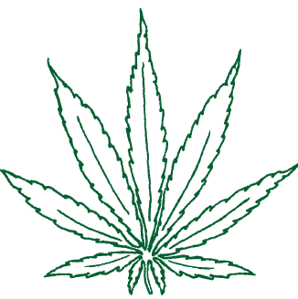 James Stoner Photo 10