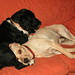 John Corbally Photo 16