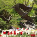 Walter Wing Photo 16