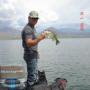 Carl Gray Photo 31