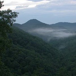 Linda Messick Photo 10