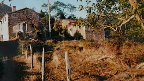Thomas Otten Photo 16