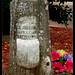 Denise Stump Photo 33