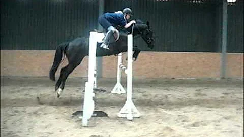 Shauna Corcoran Photo 12