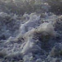 Sherry Godwin Photo 8