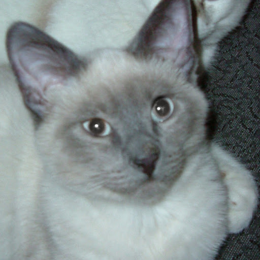 Lee Elkins Photo 13