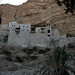 George Shehadeh Photo 14