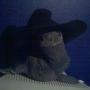 Sammy Newton Photo 16